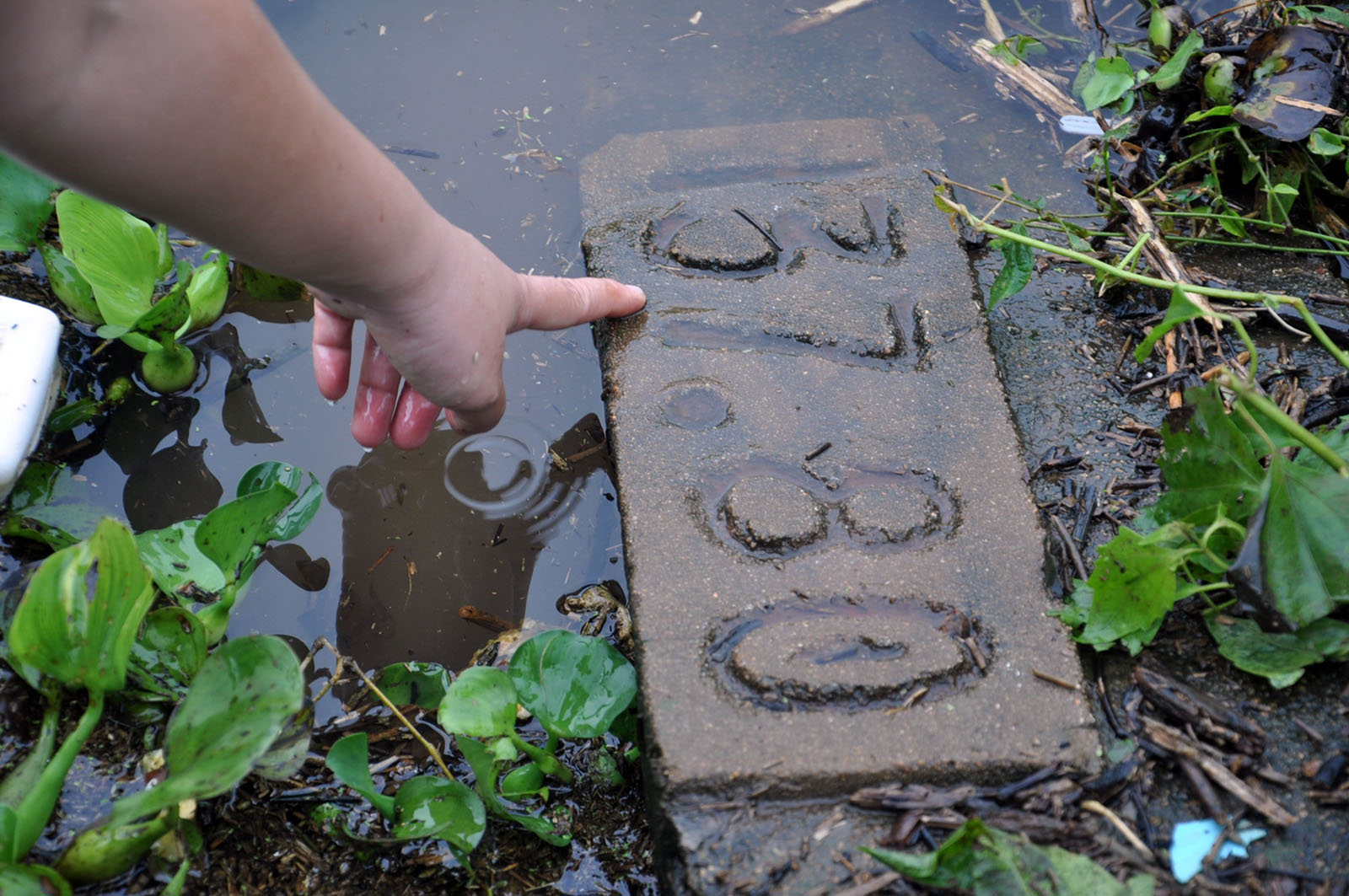 Thân đập hồ Gia Hoét vỡ toác, mở rộng vùng sơ tán dân - Ảnh 5. Thân đập hồ Gia Hoét vỡ toác, mở rộng vùng sơ tán dân - Ảnh 5.
