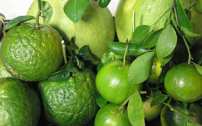 Vitamin C trong trái cây và các viên vitamin, loại nào tốt hơn? - Ảnh 1. Vitamin C trong trái cây và các viên vitamin, loại nào tốt hơn? - Ảnh 1.