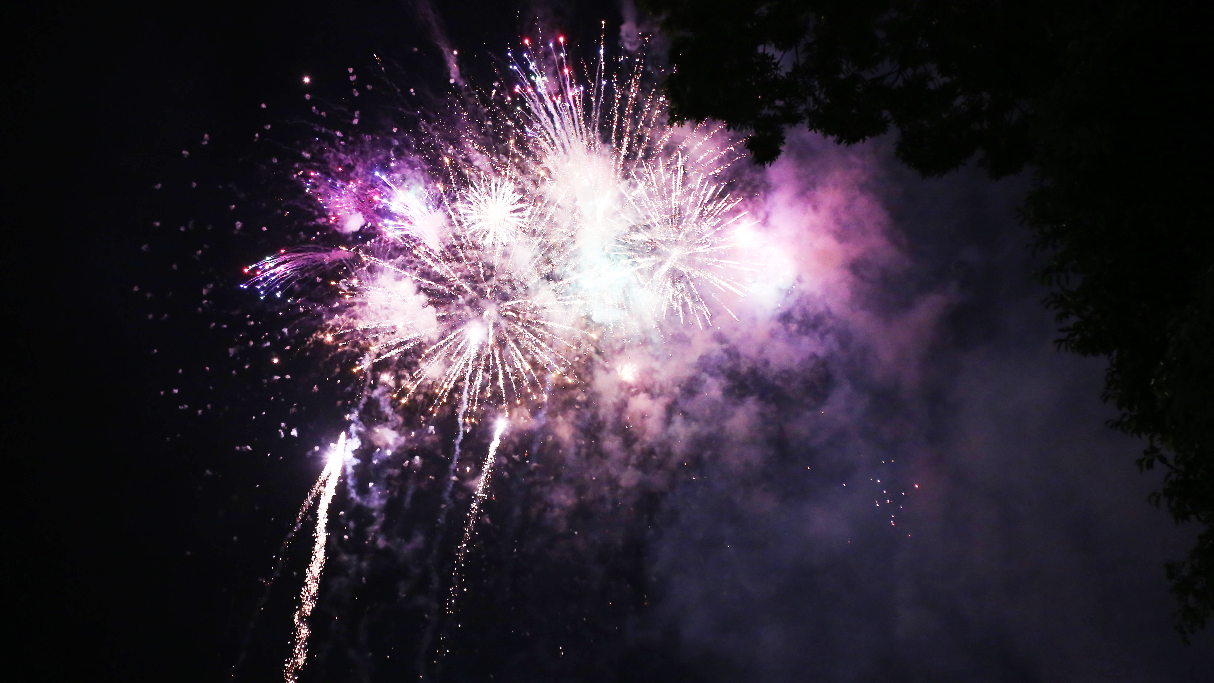 Đông đảo du khách đến Đầm Sen xem pháo hoa - Ảnh 4. Đông đảo du khách đến Đầm Sen xem pháo hoa - Ảnh 4.