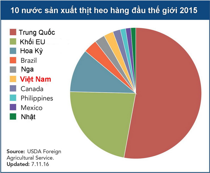 Heo cơ bắp cuồn cuộn như lực sĩ - Ảnh 2.