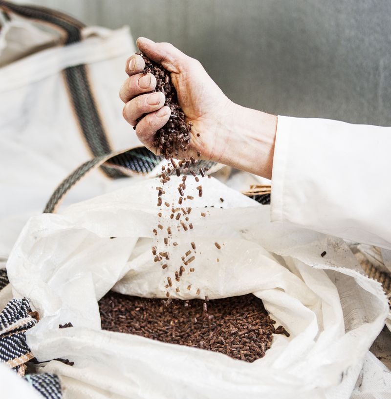 Món ăn ngon được làm từ... rác - Ảnh 1. Món ăn ngon được làm từ... rác - Ảnh 1.