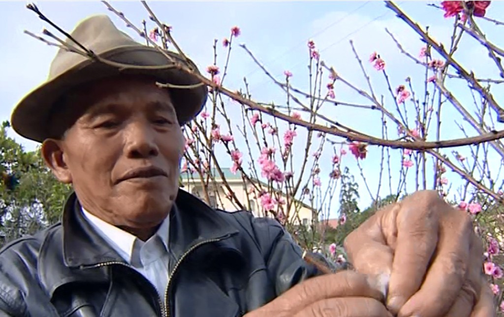 Chuyện Đà Lạt không phải ai cũng biết - Kỳ 6: Thung lũng hoa đào - Ảnh 1.