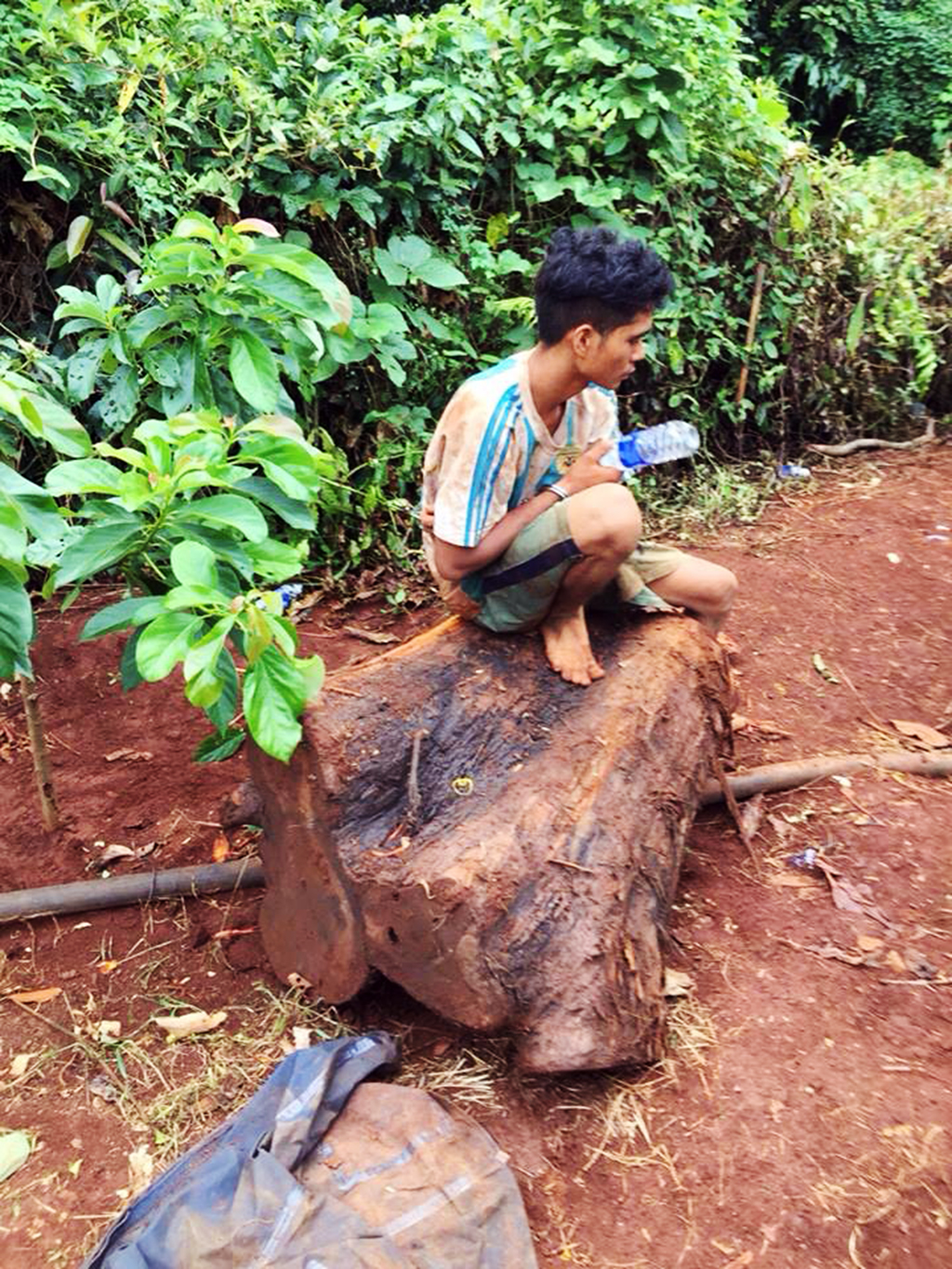 Bắt thêm 6 người cưa cây thủy tùng trong khu bảo tồn - Ảnh 5. Bắt thêm 6 người cưa cây thủy tùng trong khu bảo tồn - Ảnh 5.