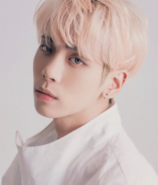 Jonghyun (SHINee) để lại di thư, mong mọi người đừng trách móc - Ảnh 1. Jonghyun (SHINee) để lại di thư, mong mọi người đừng trách móc - Ảnh 1.