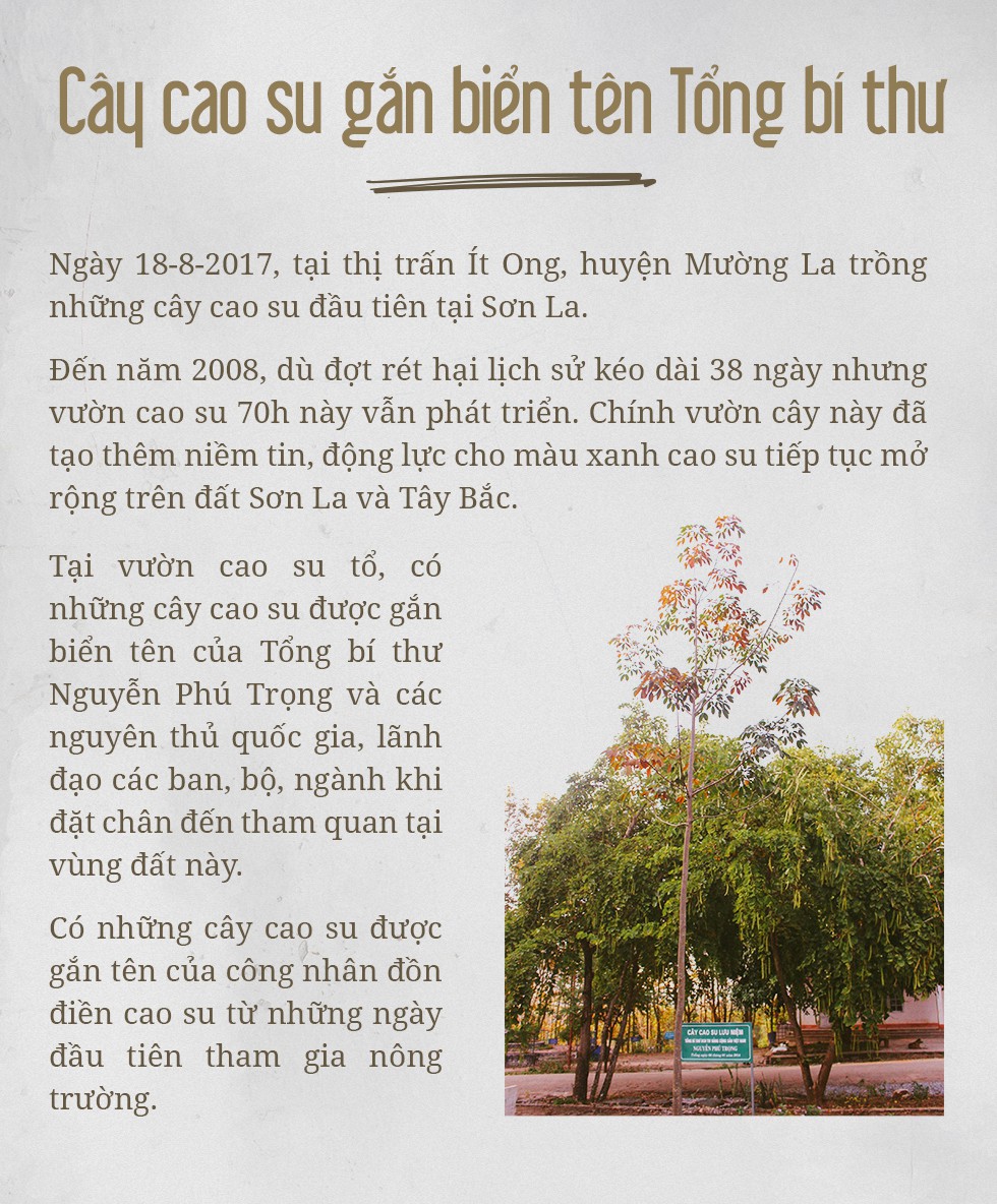 Mùa cạo mủ cao su cuối cùng đón Tết - Ảnh 11.