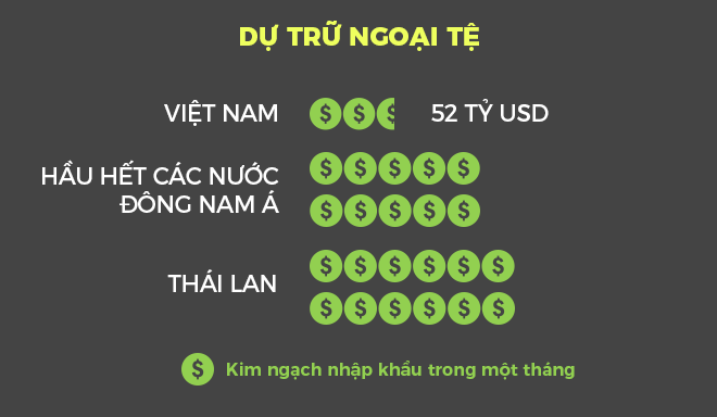 GS Trần Văn Thọ hiến kế để kinh tế Việt Nam trở nên tự chủ - Ảnh 8.