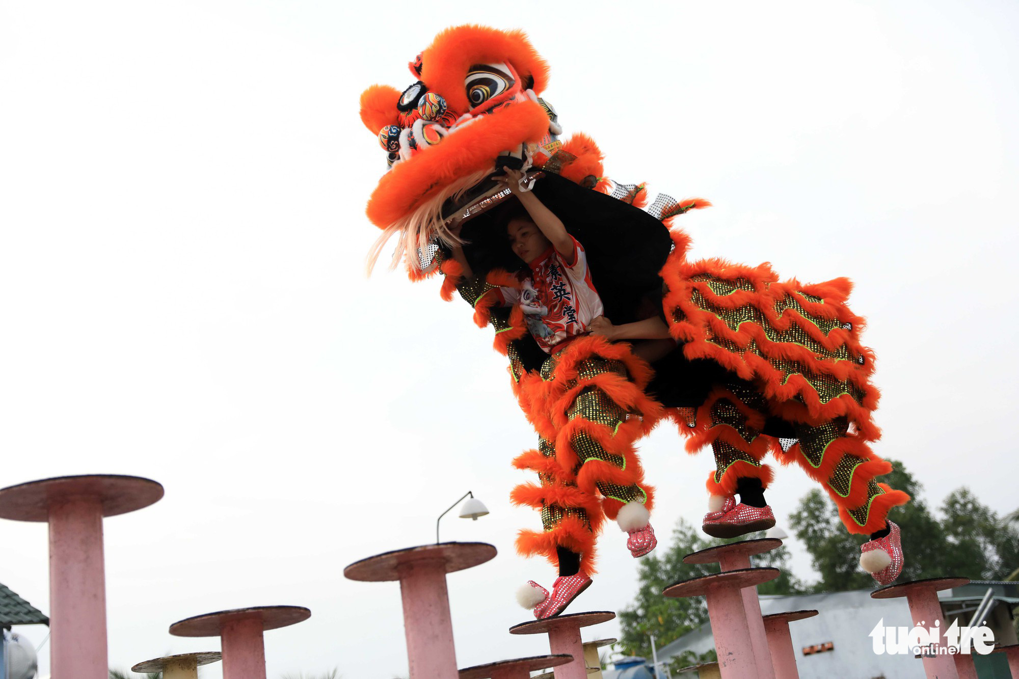 Kỳ nữ mai hoa thung - Ảnh 2.