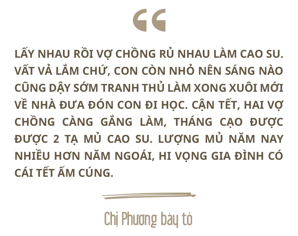 Mùa cạo mủ cao su cuối cùng đón Tết - Ảnh 8.