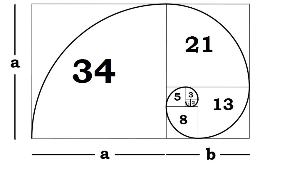 Dãy số Fibonacci và những bí ẩn trong tự nhiên - Ảnh 3. Dãy số Fibonacci và những bí ẩn trong tự nhiên - Ảnh 3.