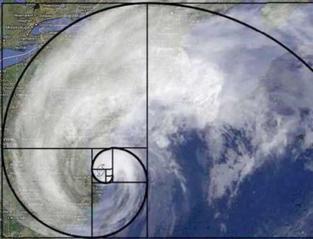 Dãy số Fibonacci và những bí ẩn trong tự nhiên - Ảnh 9. Dãy số Fibonacci và những bí ẩn trong tự nhiên - Ảnh 9.