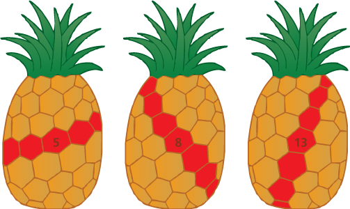Dãy số Fibonacci và những bí ẩn trong tự nhiên - Ảnh 5. Dãy số Fibonacci và những bí ẩn trong tự nhiên - Ảnh 5.