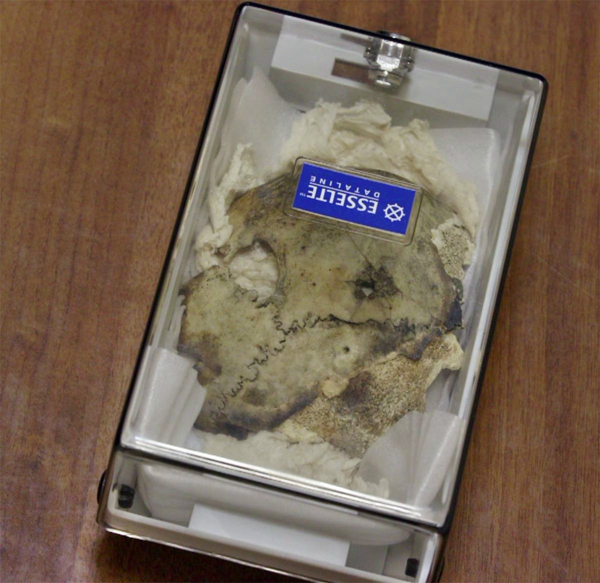 Trùm phát xít Hitler có thật đã tự sát trong hầm ngầm? - Ảnh 2. Trùm phát xít Hitler có thật đã tự sát trong hầm ngầm? - Ảnh 2.