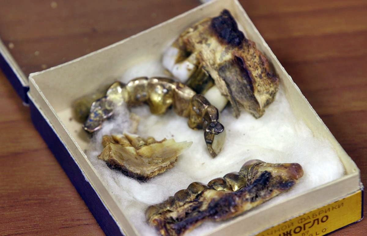 Trùm phát xít Hitler có thật đã tự sát trong hầm ngầm? - Ảnh 6. Trùm phát xít Hitler có thật đã tự sát trong hầm ngầm? - Ảnh 6.