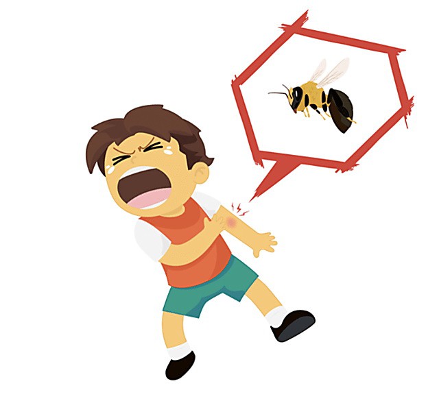 Trẻ bị ong đốt, phải làm gì? - Ảnh 1. Trẻ bị ong đốt, phải làm gì? - Ảnh 1.