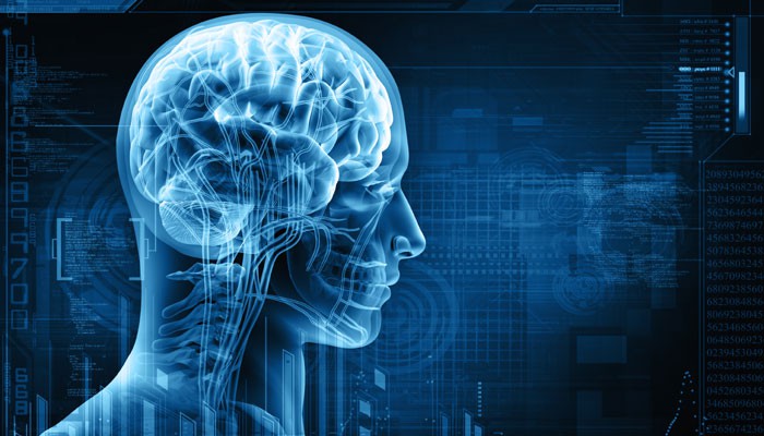 5 cách để bộ não không phản chủ - Ảnh 1. 5 cách để bộ não không phản chủ - Ảnh 1.