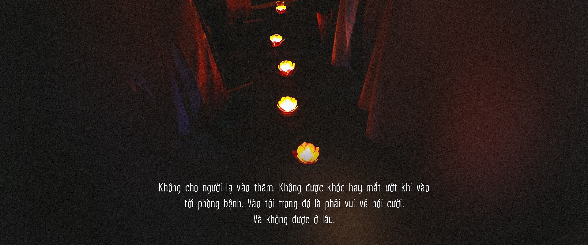 Cháy chung cư Carina: Sự sống không mất mà chỉ đổi thay… - Ảnh 7.