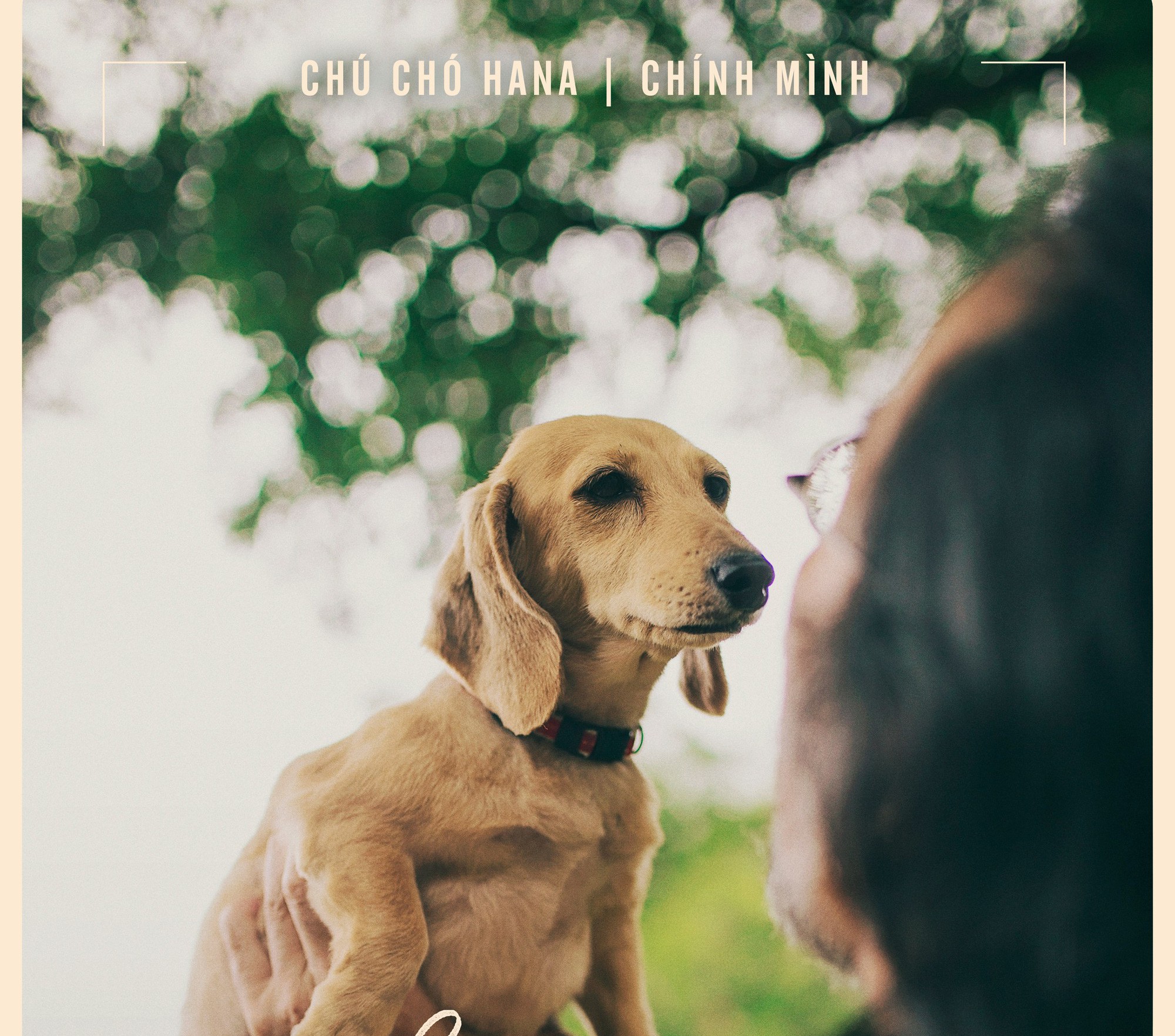 Nhắm mắt thấy mùa hè: Chuyến phiêu lưu của tuổi trẻ đã về đích! - Ảnh 19. Nhắm mắt thấy mùa hè: Chuyến phiêu lưu của tuổi trẻ đã về đích! - Ảnh 19.