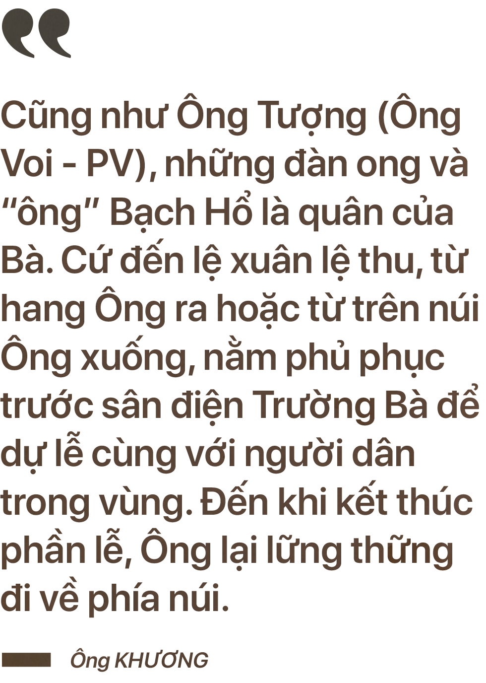 Điện Trường Bà & huyền thoại Bạch Hổ sơn quân - Ảnh 8.