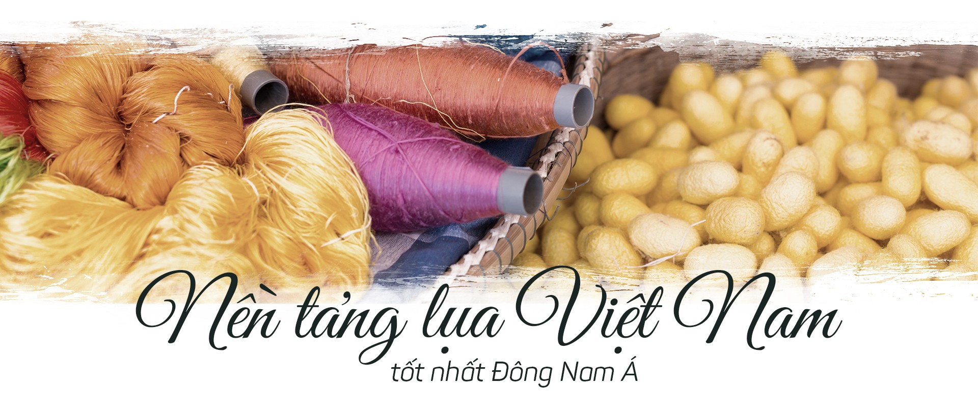 Tơ lụa Việt Nam: Sứ mệnh mới của thủ phủ tơ tằm Bảo Lộc - Ảnh 2.