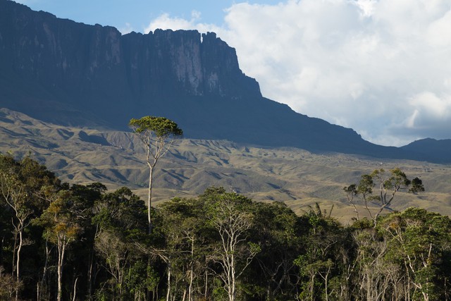 Hòn đảo trên trời kỳ ảo ở Venezuela - Ảnh 8.