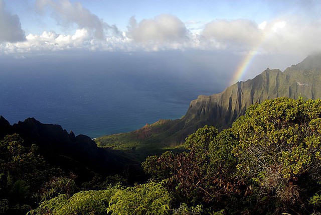 7 hoạt động mạo hiểm ở Hawaii - Ảnh 3.