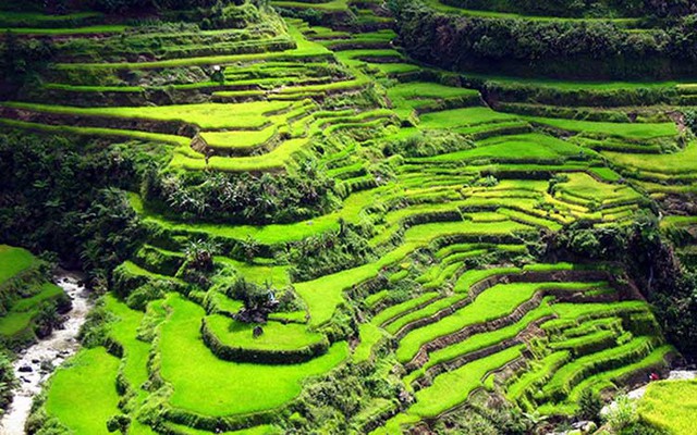 10 địa điểm tuyệt vời để đi bộ ở Đông Nam Á - Ảnh 1. 10 địa điểm tuyệt vời để đi bộ ở Đông Nam Á - Ảnh 1.