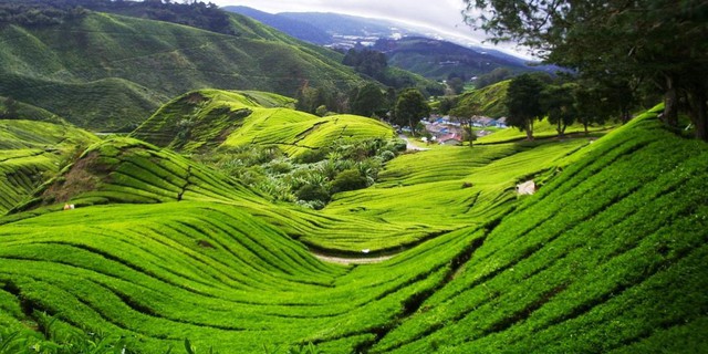10 địa điểm tuyệt vời để đi bộ ở Đông Nam Á - Ảnh 5. 10 địa điểm tuyệt vời để đi bộ ở Đông Nam Á - Ảnh 5.