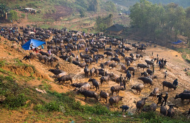 Hành trình di sản không chấp nhận ảnh dự thi chỉnh sửa - Ảnh 2.