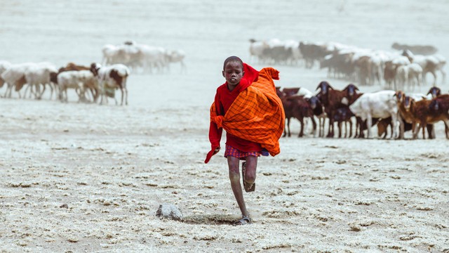 Thăm làng người Maasai - nơi đàn ông được cưới nhiều vợ - Ảnh 4.