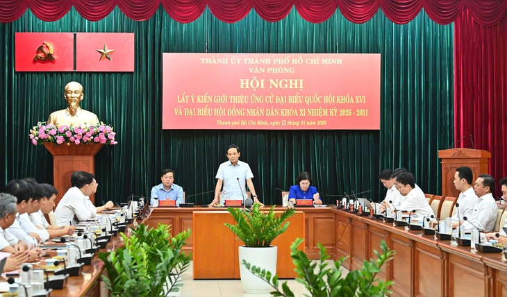 Trần Lưu Quang - Ảnh 1.