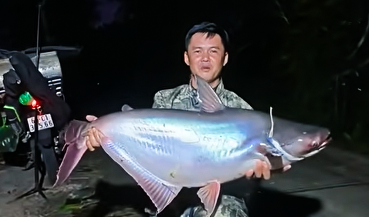 Cần thủ câu dính cá vồ hàng chục ký ở Vườn quốc gia U Minh Thượng - Ảnh 1.