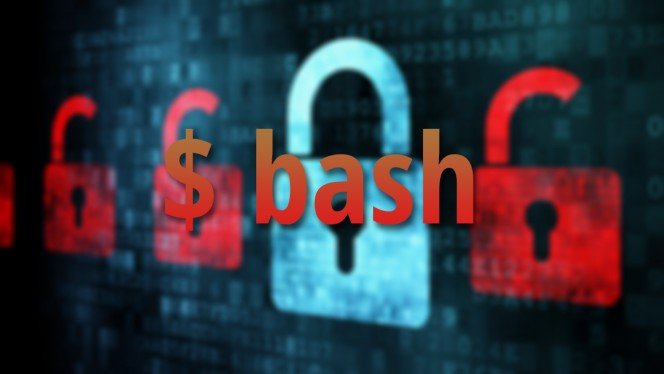 Người dùng Mac OS X 10.7, 10.8 và 10.9 cần cập nhật ngay bản vá lỗi Shellshock - Ảnh minh họa: Internet