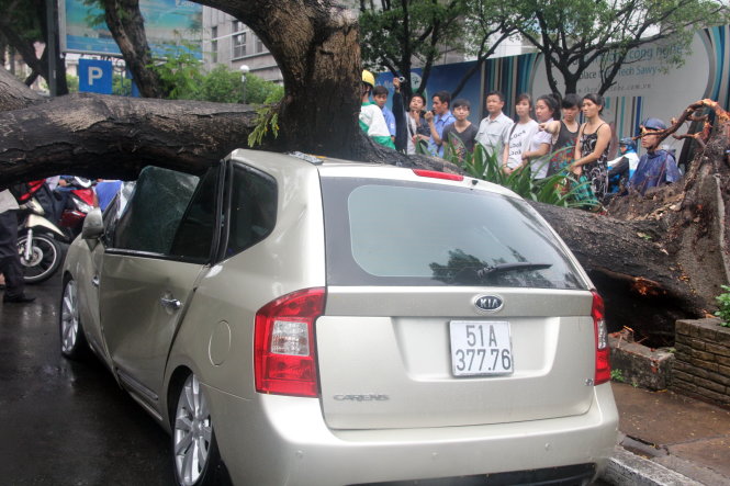 Cây xanh ngã đè ôtô trên đường Lê Lợi, Q.1, TP.HCM vào ngày 28-5-2014 - Ảnh: Q.Khải