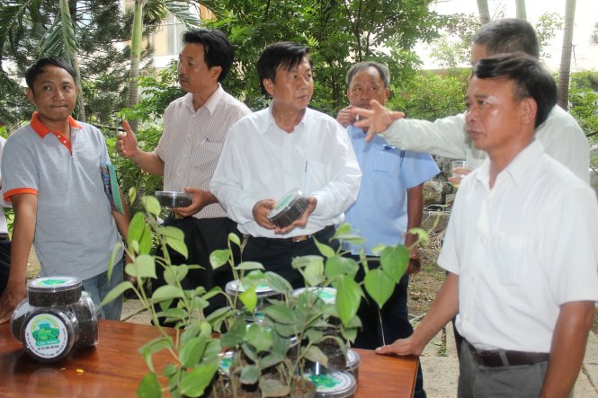 Các đại biểu tham quan khu trưng bày sản phẩm hồ tiêu tại hội thảo quảng bá thương hiệu hồ tiêu Lộc Ninh - Ảnh:Bùi Liêm