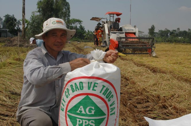 Nông dân trong mô hình “cánh đồng mẫu lớn” đầu tiên ở An Giang đã có được niềm vui thu lãi tới 200% - Ảnh: Thanh Tú
