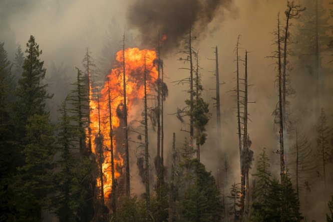 Bang Washington đang đối mặt với trận cháy lớn nhất trong lịch sử bang - Ảnh: Reuters