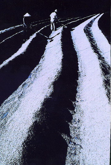 Wc6A868u.jpg