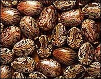 kb6IYUId.jpg