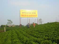 u7lmraRi.jpg