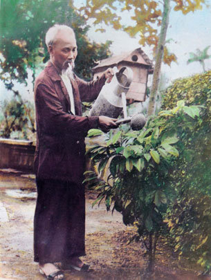 p7gO4TUO.jpg