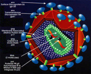 ujB75X3d.jpg