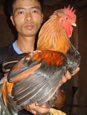 TKxIH72G.jpg