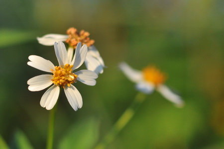 kCNzq972.jpg
