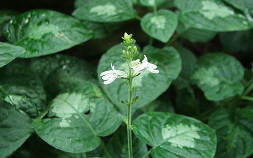 1lot6nQU.jpg