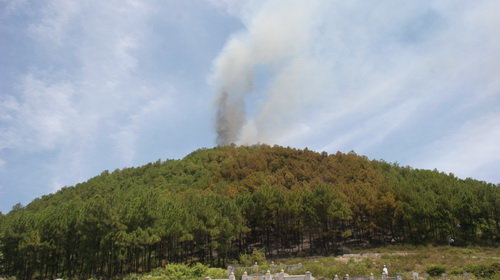 iIG029Hn.jpg