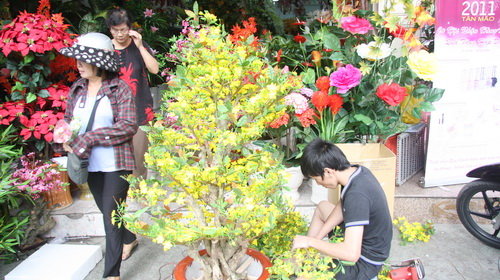 HsBs67F3.jpg