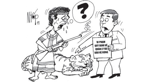 RQH08lgU.jpg