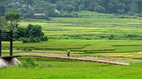8mELHaWU.jpg