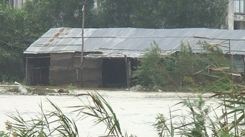 P8aMt47y.jpg