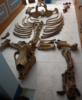pEeFy2Cm.jpg